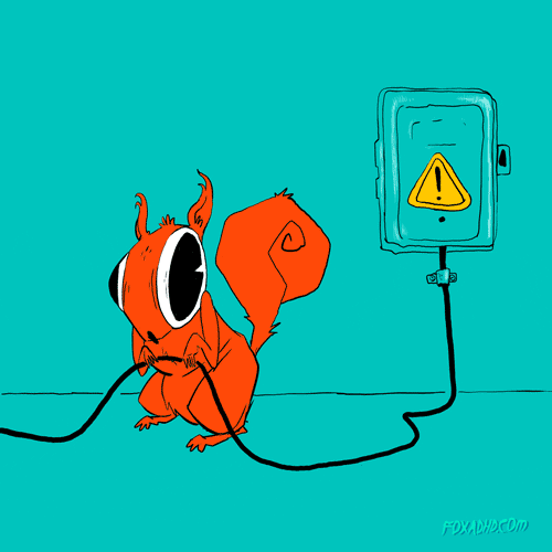 SquirrelPower photo