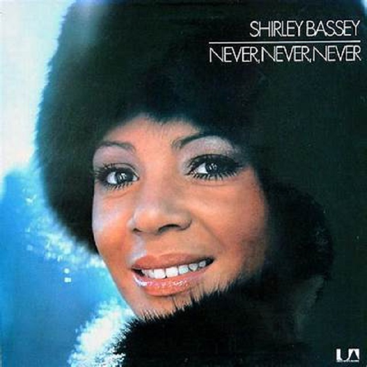 Never Never Never (Orig.) Cover