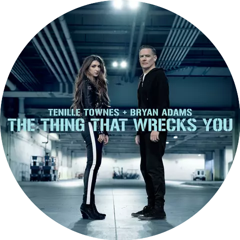 The Thing That Wrecks You (without BGV) Cover
